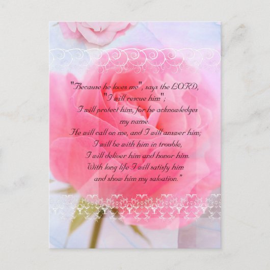 バイブルの通路、ピンクのバラが青 ポストカード (正面)