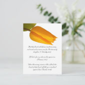 バイブルの通路、黄色のチューリップ ポストカード (スタンド正面)