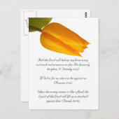 バイブルの通路、黄色のチューリップ ポストカード (正面/裏面)