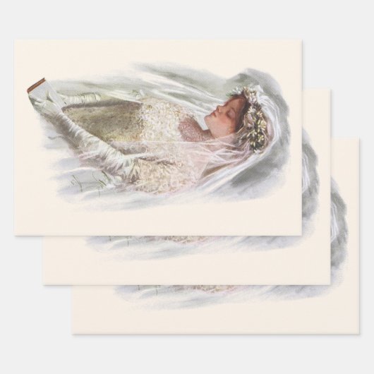 バイブルビクトリアンハリソン・フィッシャーのヴィンテージ花嫁 ラッピングペーパーシート (セット)