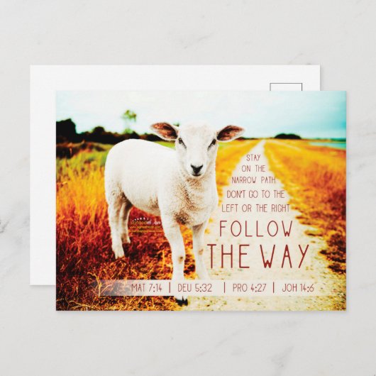 バイブル後を追引用文ザウェイ ポストカード (正面/裏面)