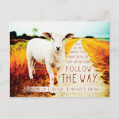 バイブル後を追引用文ザウェイ ポストカード (正面)