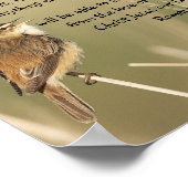 バイブル感動的聖なる書物、 経典引用文ローマ8:38 ポスター (角)