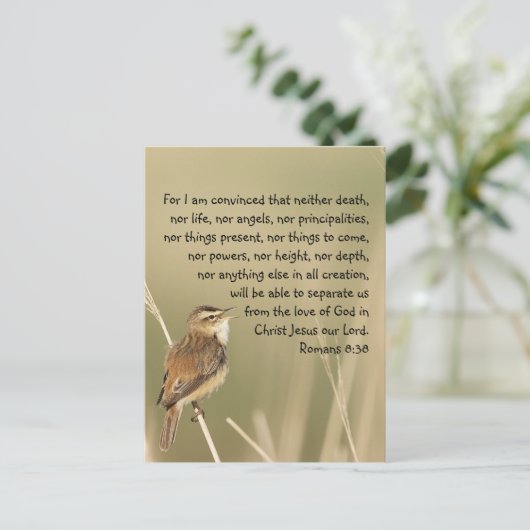 バイブル感動的聖なる書物、 経典引用文ローマ8:38 ポストカード (スタンド正面)