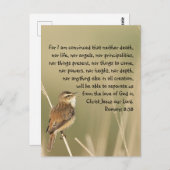 バイブル感動的聖なる書物、 経典引用文ローマ8:38 ポストカード (正面/裏面)