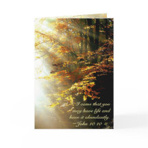 バイブル感動的Verse John 10 10紅葉