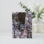 バイブル聖なる書物、 経典 ポストカード (スタンド正面)