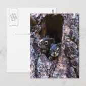 バイブル聖なる書物、 経典 ポストカード (正面/裏面)