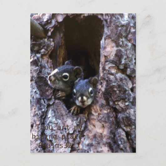 バイブル聖なる書物、 経典 ポストカード (正面)