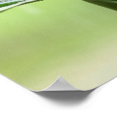 バイブル聖句かわいい感動的グリーンカエル ポスター (角)