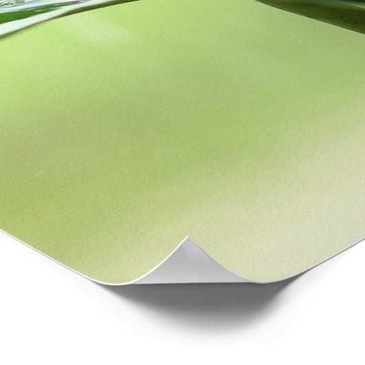 バイブル聖句かわいい感動的グリーンカエル ポスター (角)