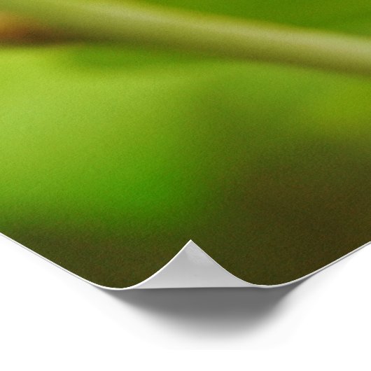 バイブル葉バースアートポスターのレディバグ ポスター (角)