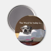 バイブル読のボストンテリア磁石 マグネット (正面/裏面)