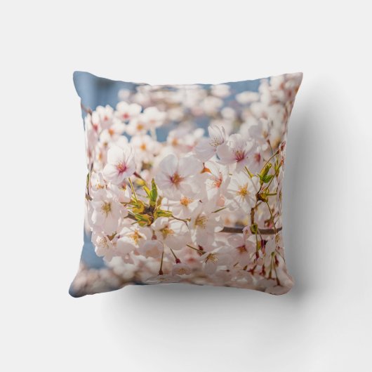 バイブル・バース感動的引用文聖なる書物、 経典 クッション (裏面)