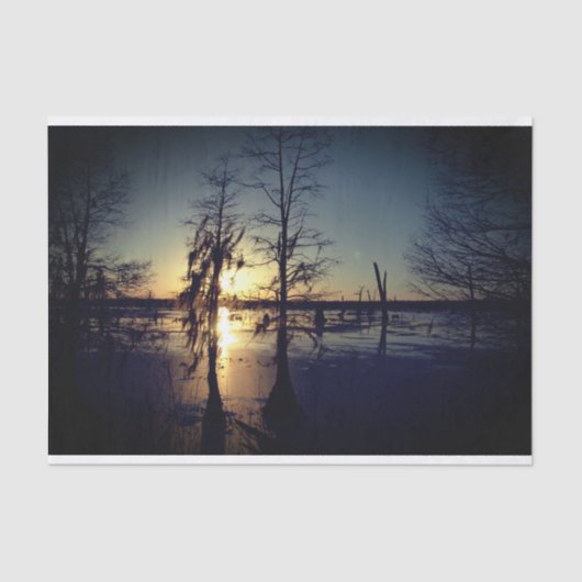 バイユーの日没|ヌマスギ及び泥地 薄葉紙 (正面)