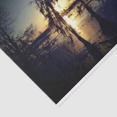 バイユーの日没|ヌマスギ及び泥地 薄葉紙 (詳細)