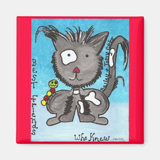 バイレY マグネット (正面)