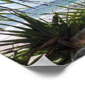 バイロンベイ写真 ポスター (角)