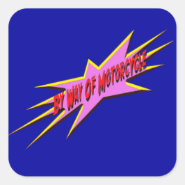 バイワヨオートバイシール10 スクエアシール