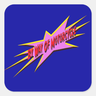 バイワヨオートバイシール10 スクエアシール