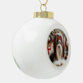 バイワーテリアオーナメント セラミックボールオーナメント (左)