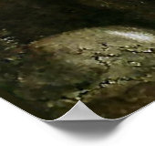 『バウアーのエルク』(ジョン・バウアー、 水彩画) ポスター (角)