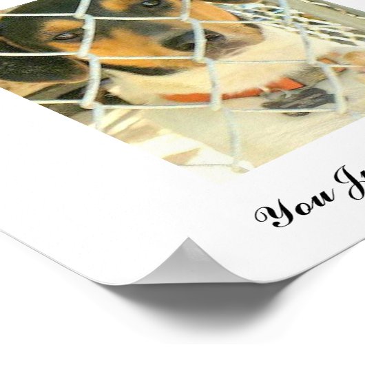 バウンサー ポスター (角)