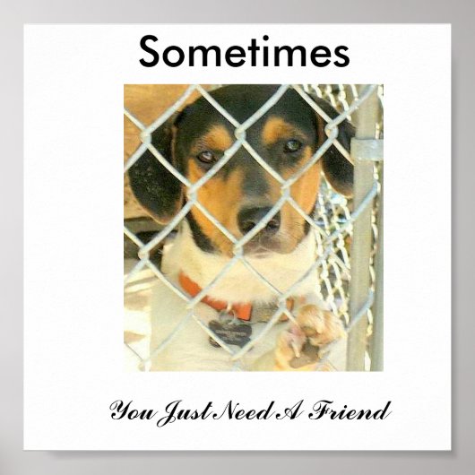 バウンサー ポスター (正面)