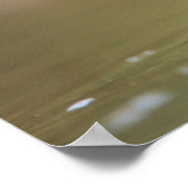 バエオロフォス州，黒紋付のタイトマウス ポスター (角)