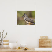 バエオロフォス州，黒紋付のタイトマウス ポスター (キッチン)