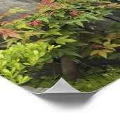 バオの家族の庭、黄山、中国。 ポスター (角)