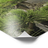 バオの家族の庭、黄山、中国。2 フォトプリント (角)