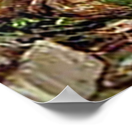 バオバブの木と大きなタマリンドの木_GCポスター ポスター (角)