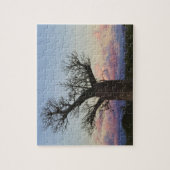 バオバブの木、ベレンティ、トリアラ、マダガスカル ジグソーパズル (縦)