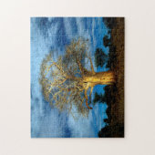 バオバブ(アダンソニア)の木が月に照らされる ジグソーパズル (縦)