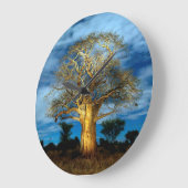バオバブ(アダンソニア)の木が月に照らされる ラージ壁時計 (傾斜)