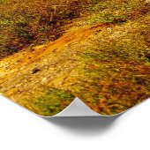 バオバブ ポスター (角)