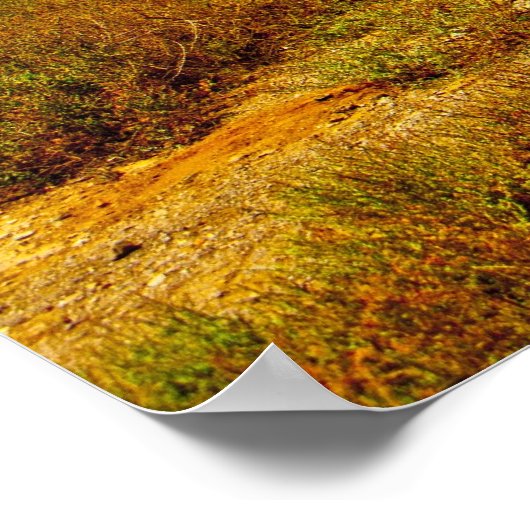 バオバブ ポスター (角)