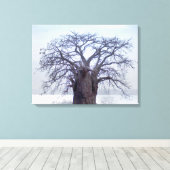バオバブ (Adansonia Digitata)、ルアンダ キャンバスプリント (インサイチュ (ウッドフロア))