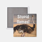 バカなラマ！ マグネット (正面/裏面)