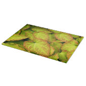 バカラフルレノウ植葉物フローラ カッティングボード (角)