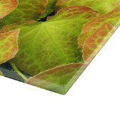 バカラフルレノウ植葉物フローラ カッティングボード (角)