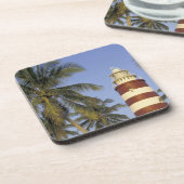 バカリブのハマアバコエルボケイホープタウン コースター (左側)