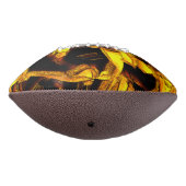 バガス又は脱水蜜皮 アメリカンフットボール (回転270)