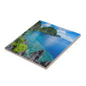 バキュイト列島シースケープ タイル (側面)