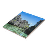 バキュイト諸島 タイル (側面)