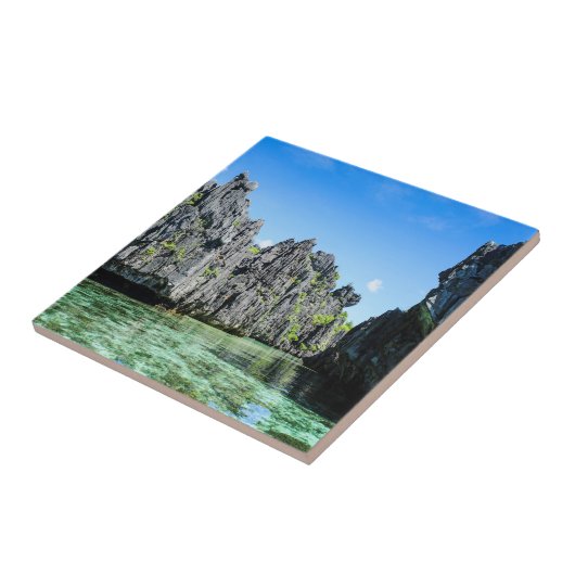 バキュイト諸島 タイル (側面)