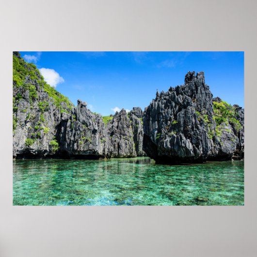 バキュート諸島 ポスター (正面)