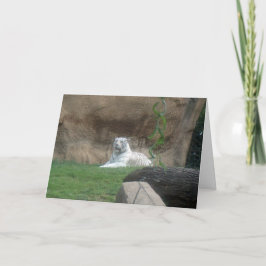 バキングホワイトタイガー カード