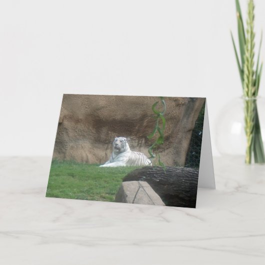 バキングホワイトタイガー カード (正面)